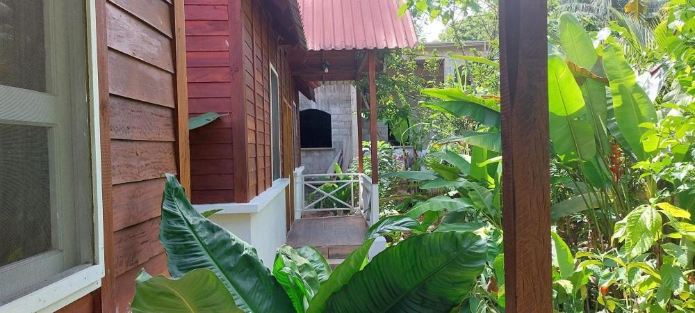 Cabanas Yax-Ha Arroyo Agua Azul Exterior foto