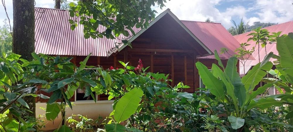 Cabanas Yax-Ha Arroyo Agua Azul Exterior foto